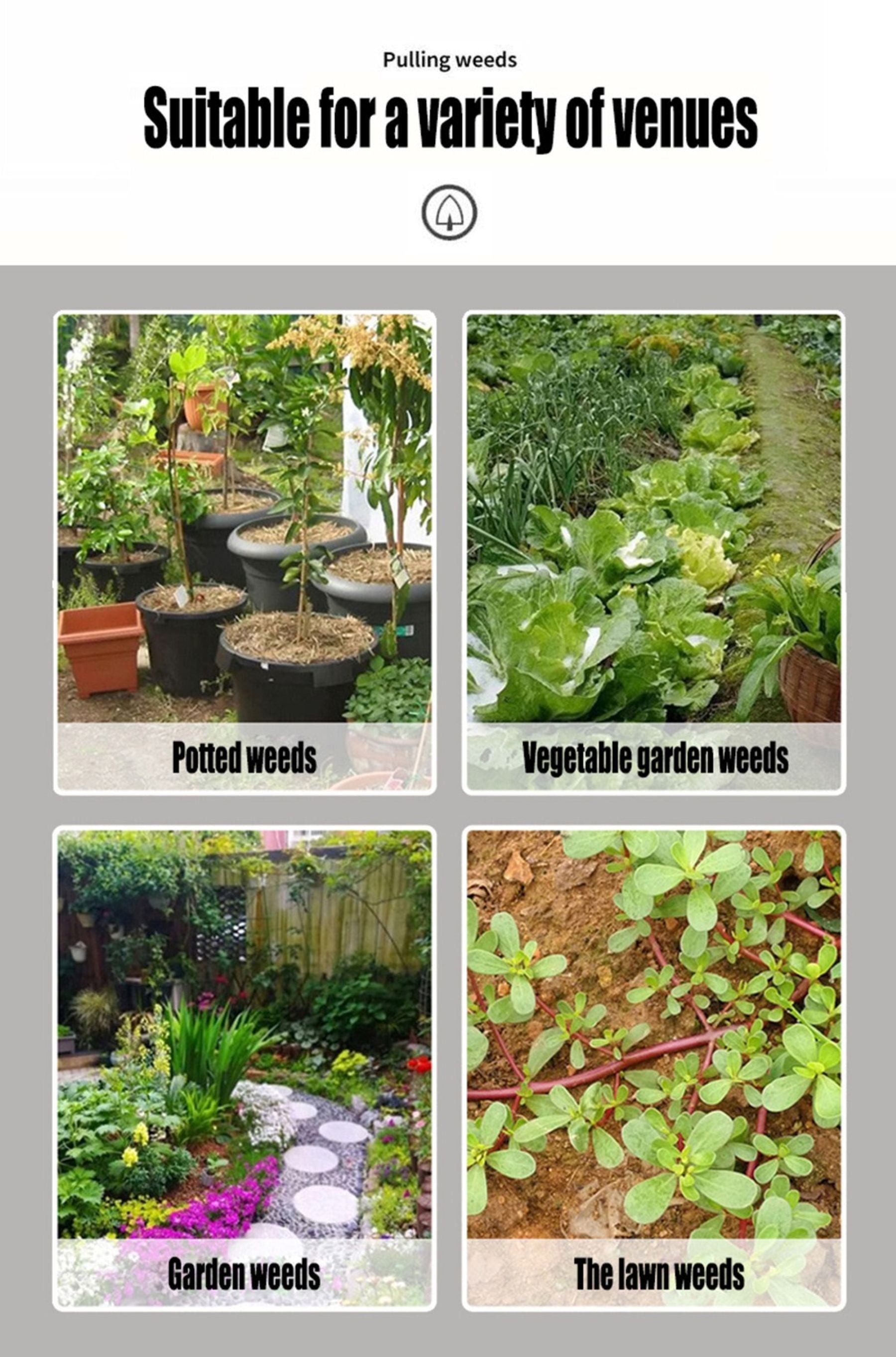 Standing Type Weed Removal Root Remover