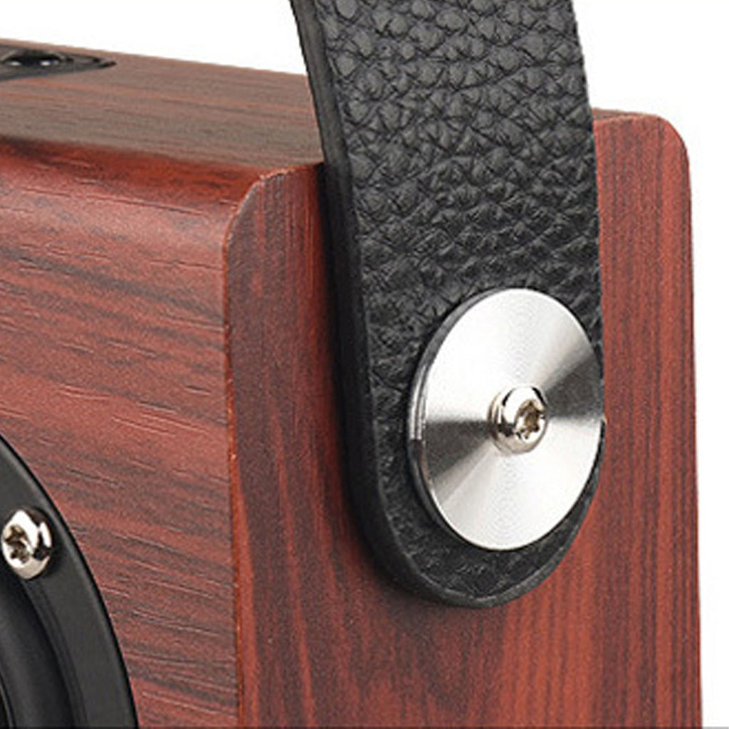 Leather Speaker With Handle