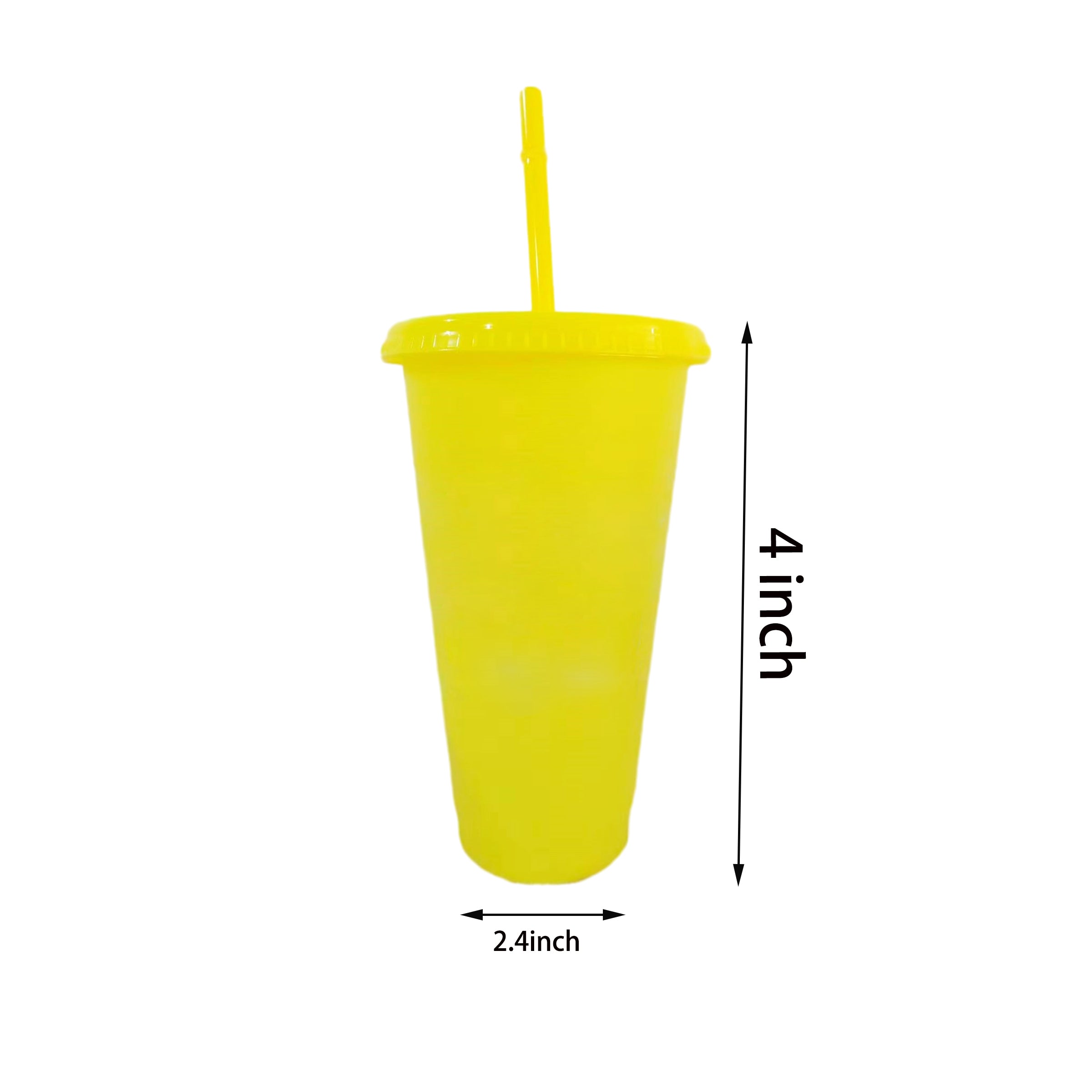 24oz Drinking Cups with Lid and Straw