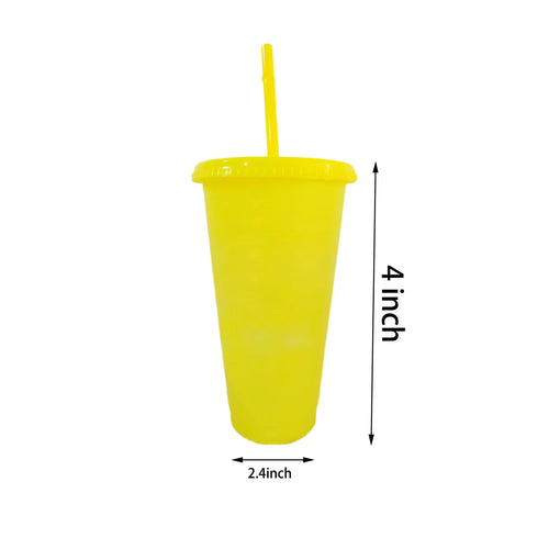 24oz Drinking Cups with Lid and Straw