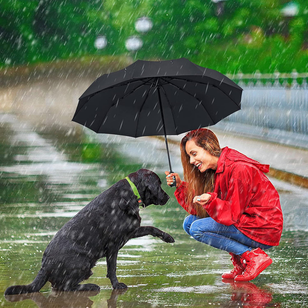 Automatic Open Close Umbrella