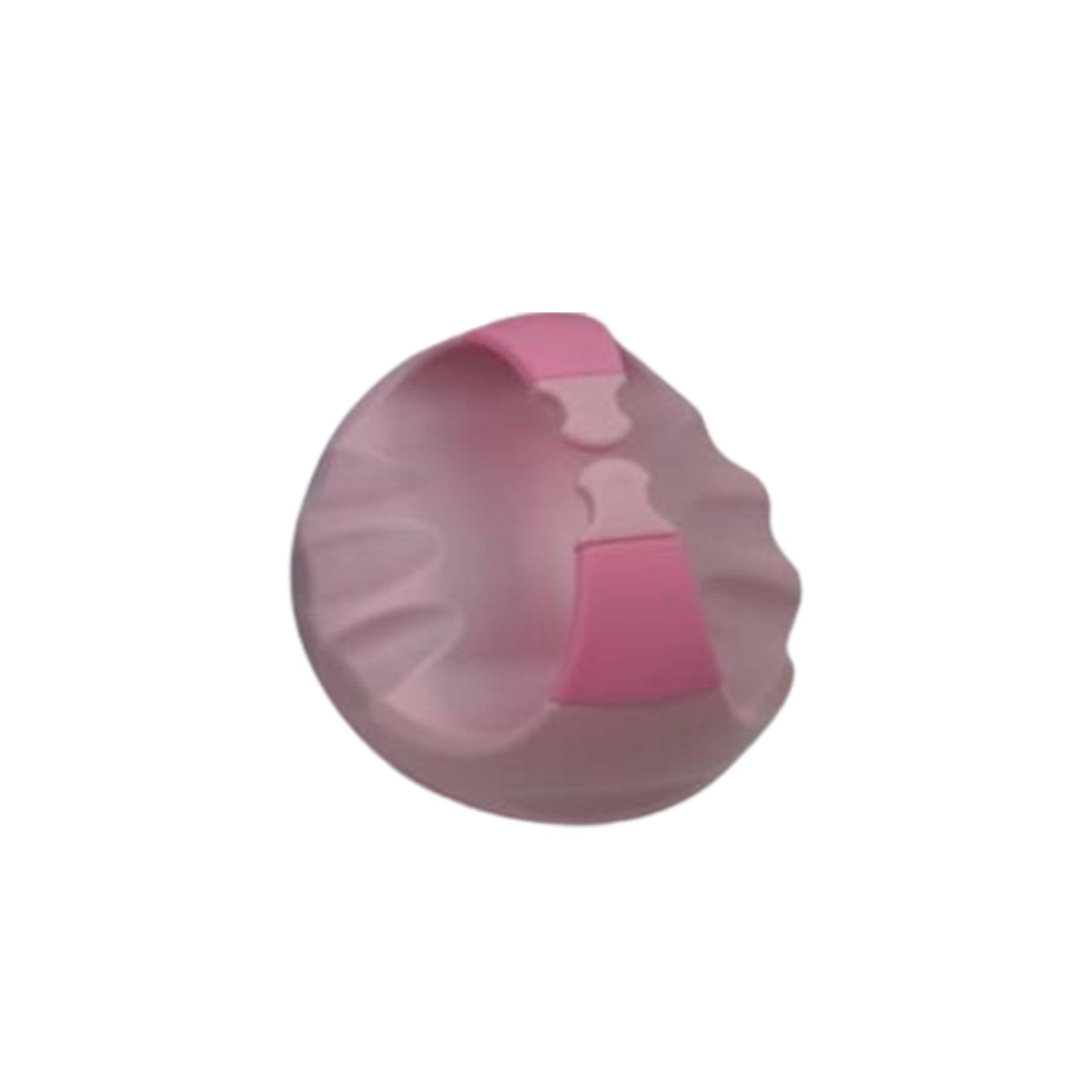 Shampoo Brush