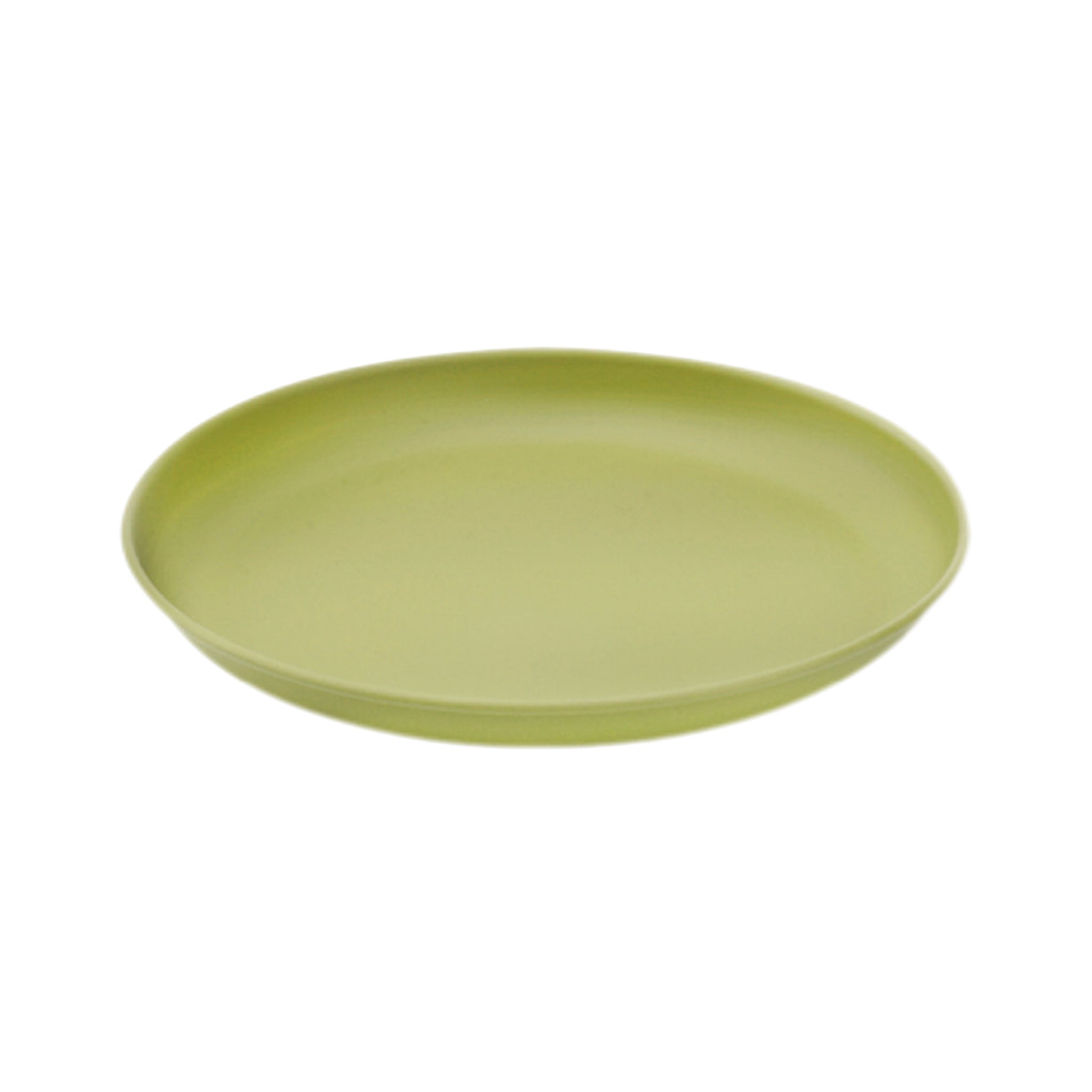 Stainless Steel Camping Picnic Plate