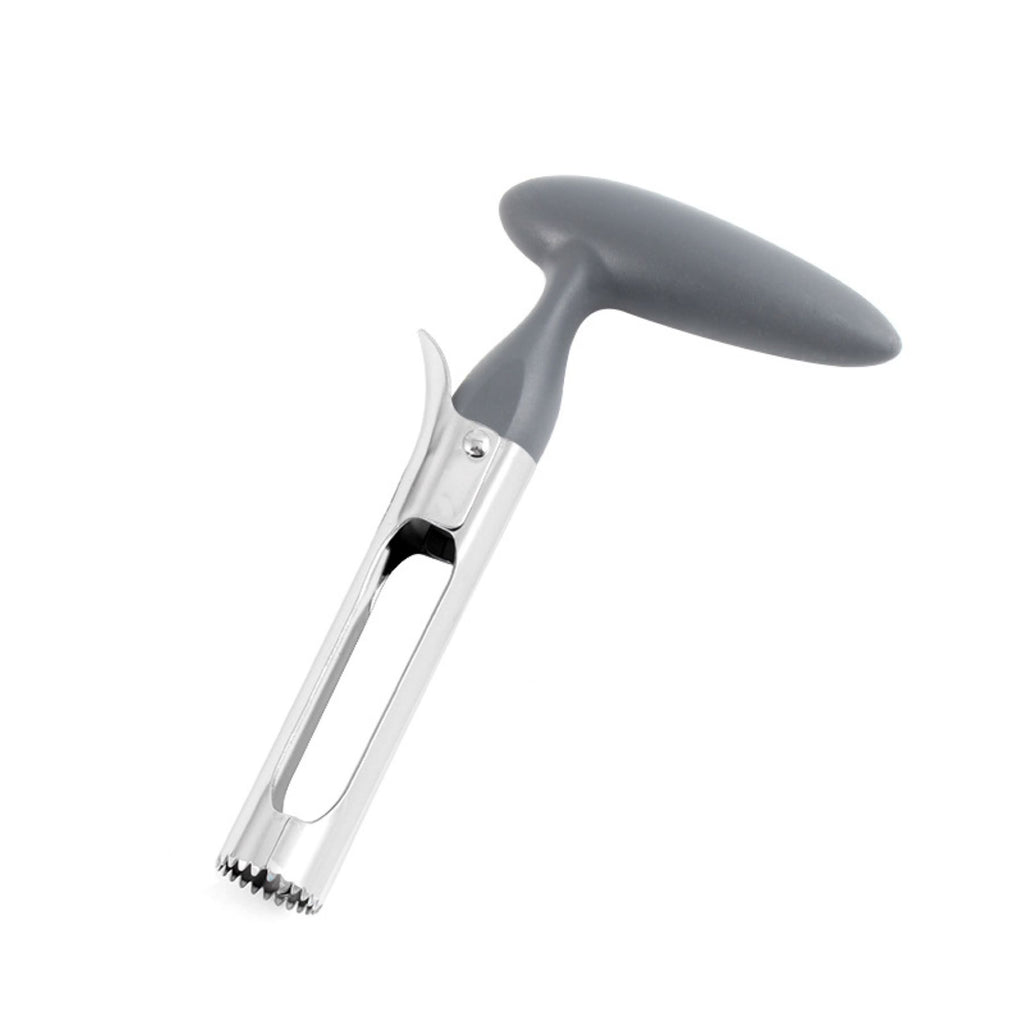 Stainless Steel Fruit Pitter
