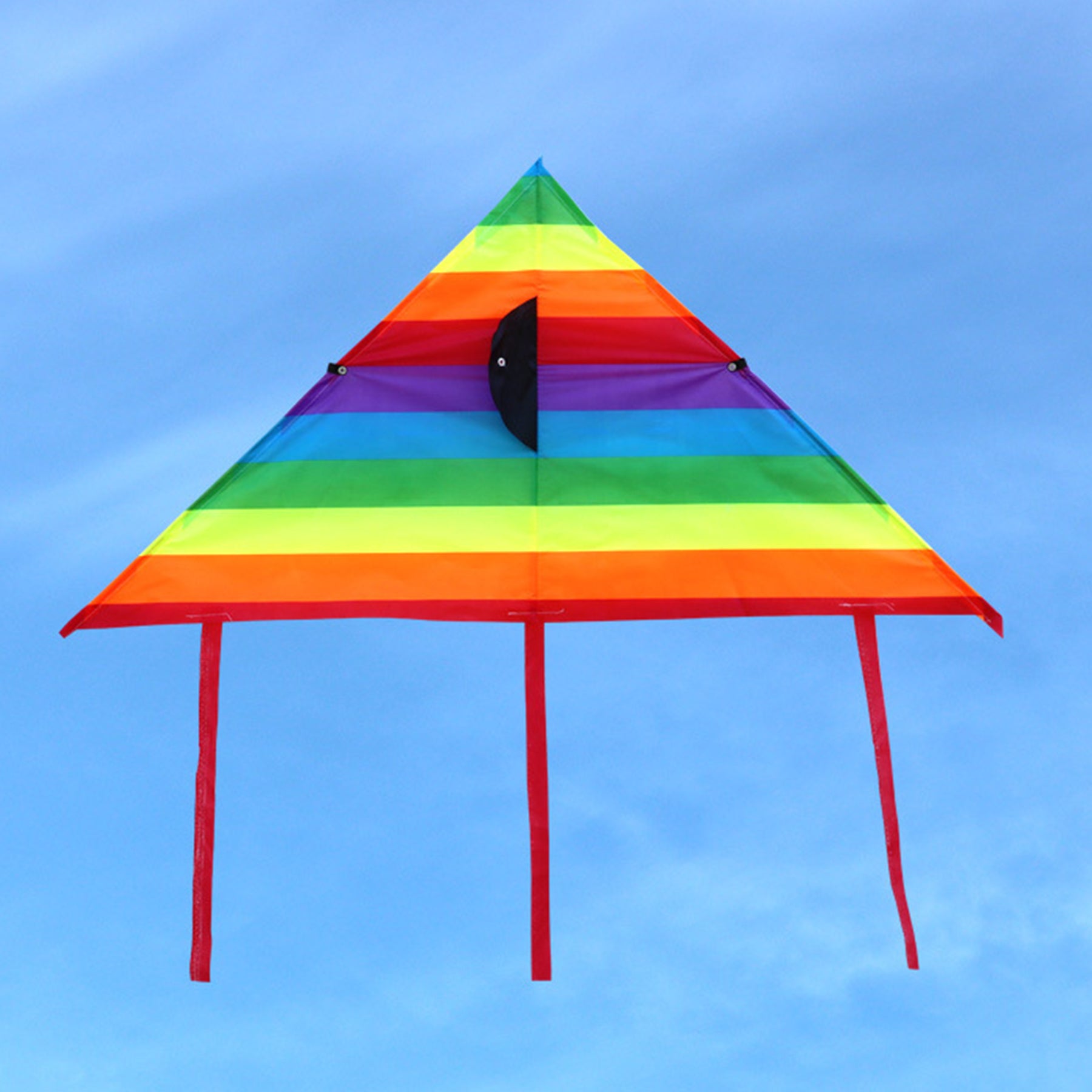 Rainbow Kite With Long Tail