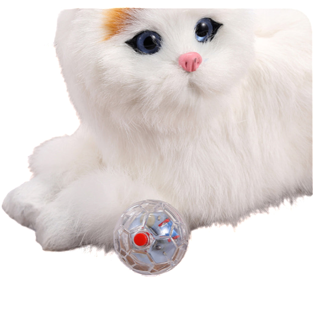 Glowing Transparent Pet Interactive Toy