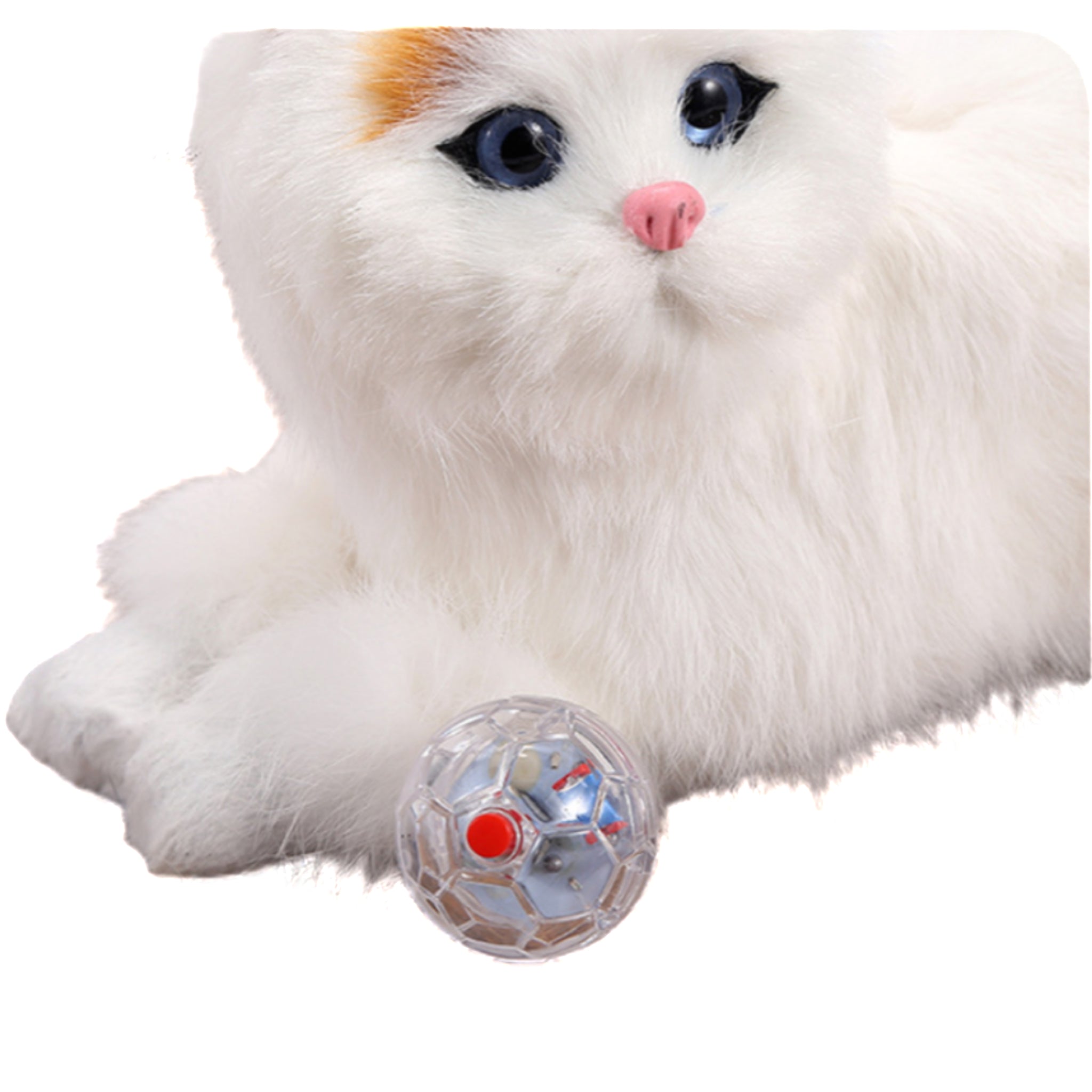Glowing Transparent Pet Interactive Toy