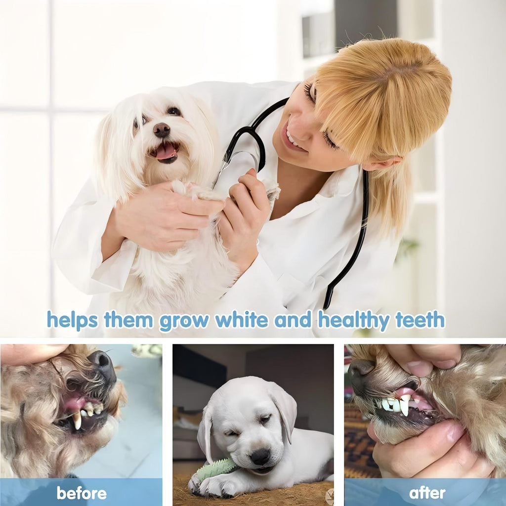 Pet Dog Chew Toys