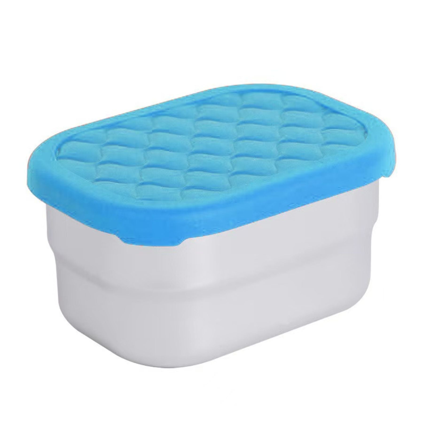 Stainless Steel Food Container