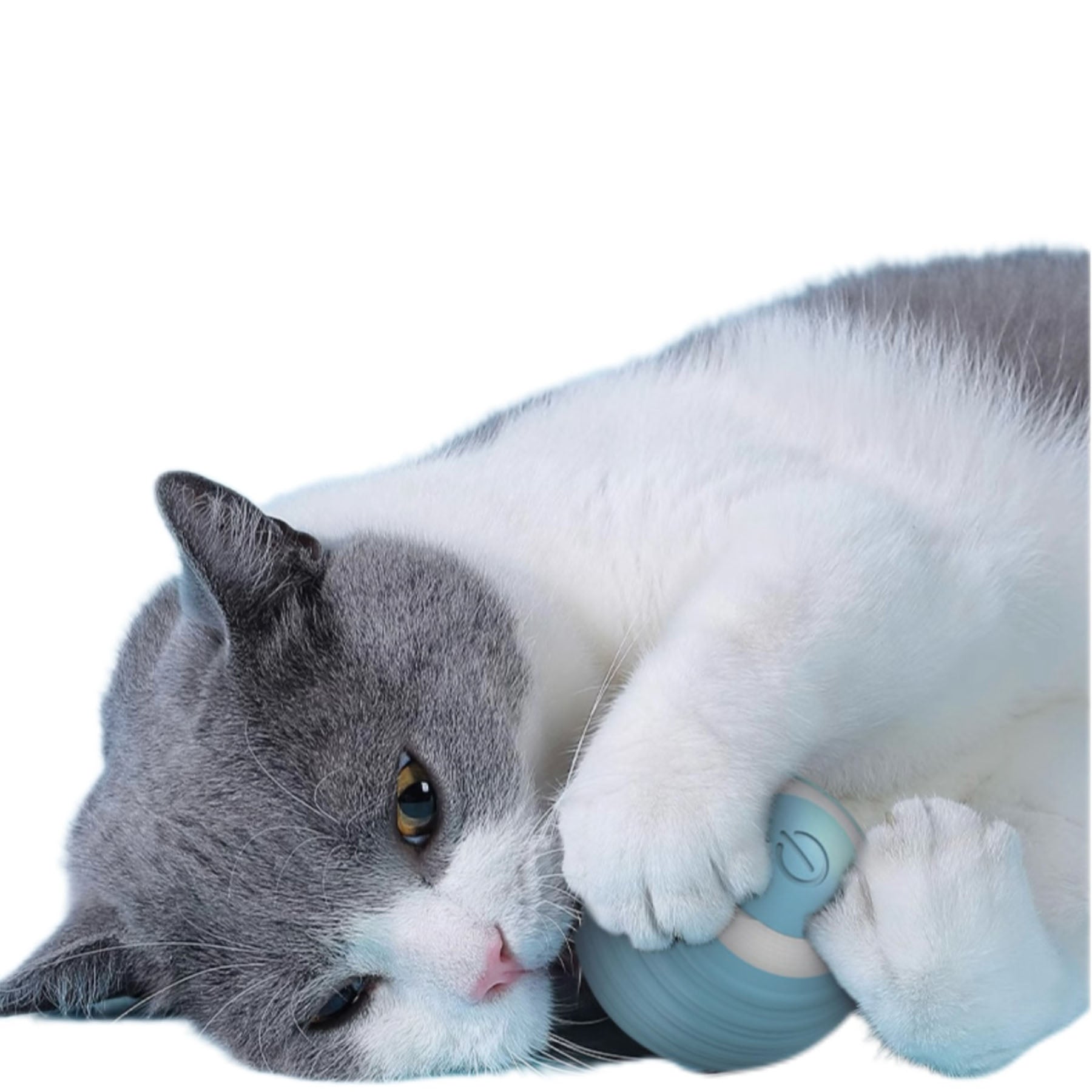 Pet Gravity Smart Rolling Ball