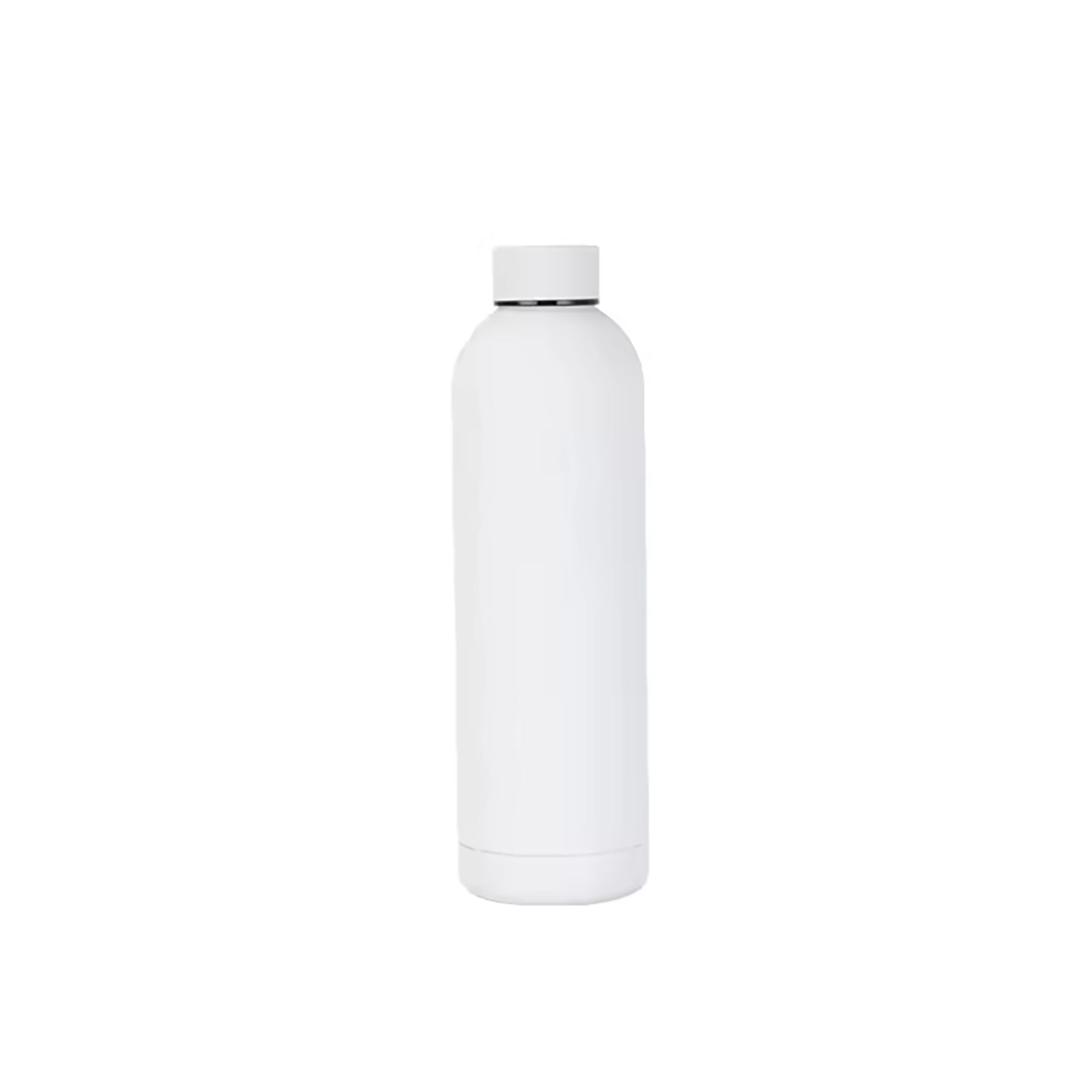 17Oz Frosted Insulated Stainless Steel Water Bottle