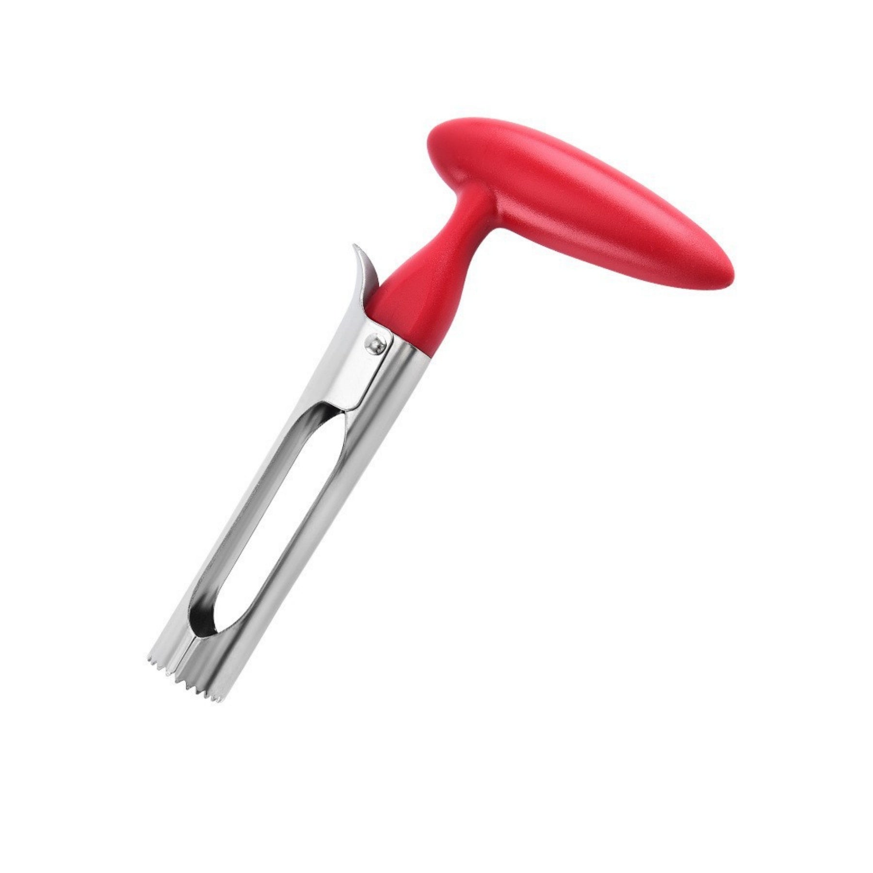 Stainless Steel Fruit Pitter
