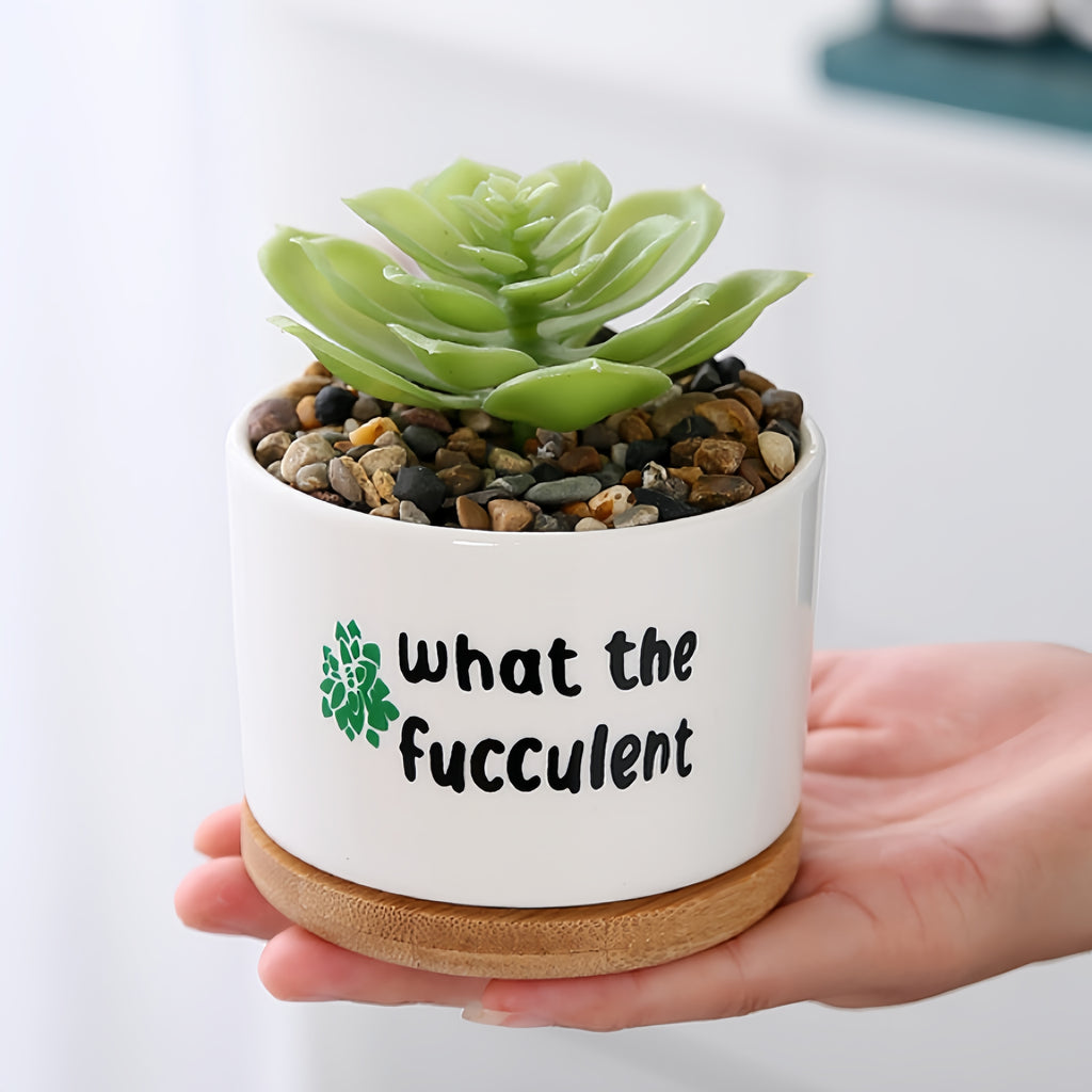 Desktop Ceramic Plant Pot