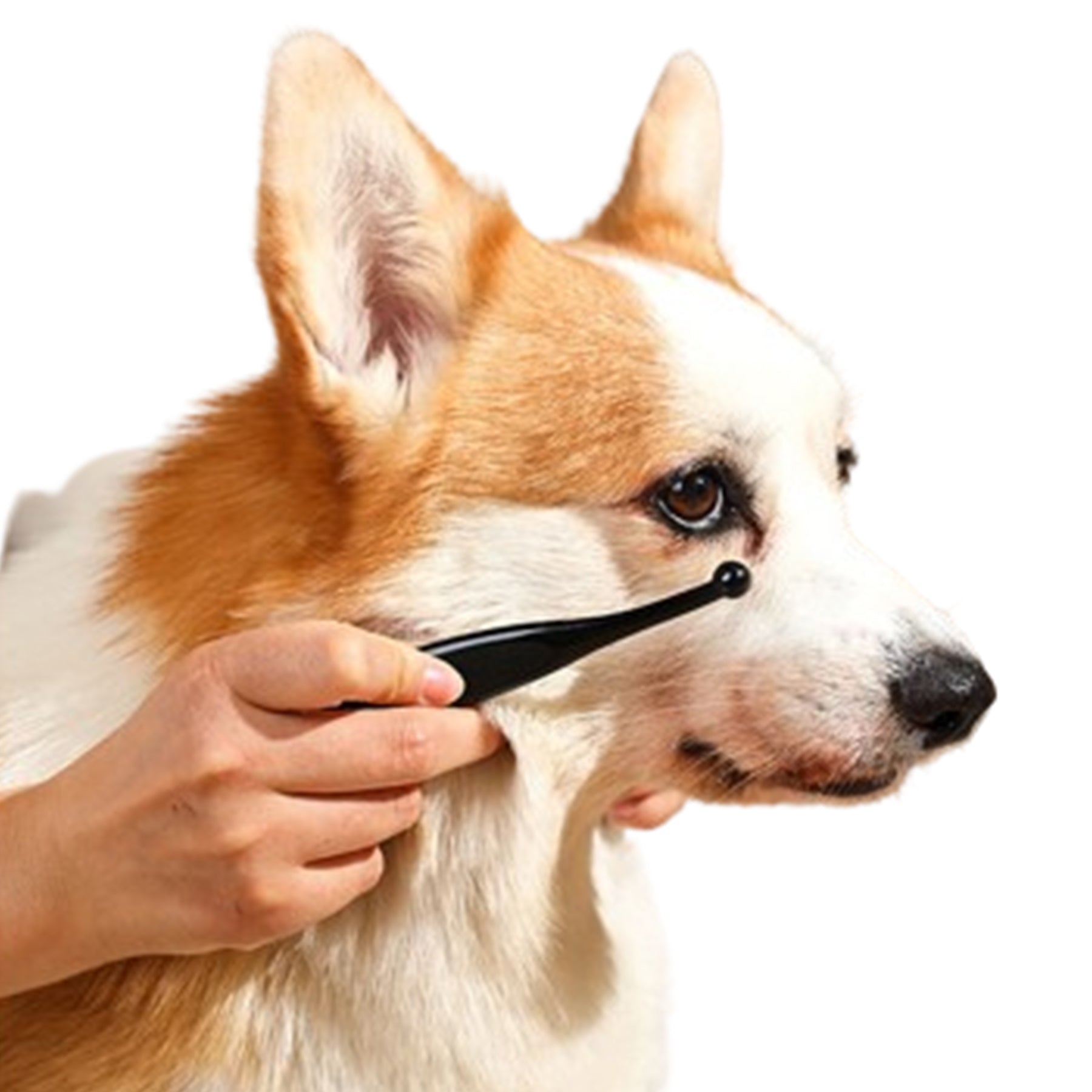 Pet Tear Remover Brush