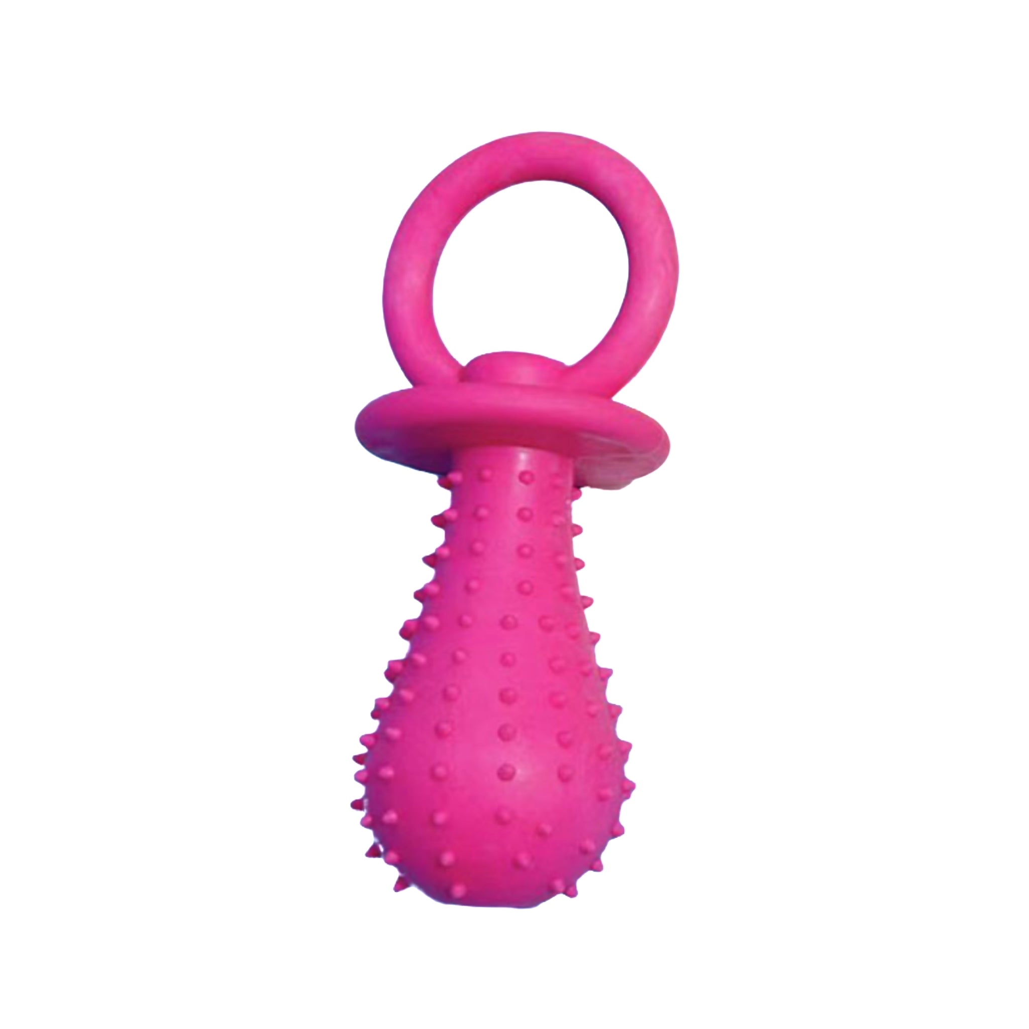 Squeaky Puppy TPR Pacifier Toy Interactive Training