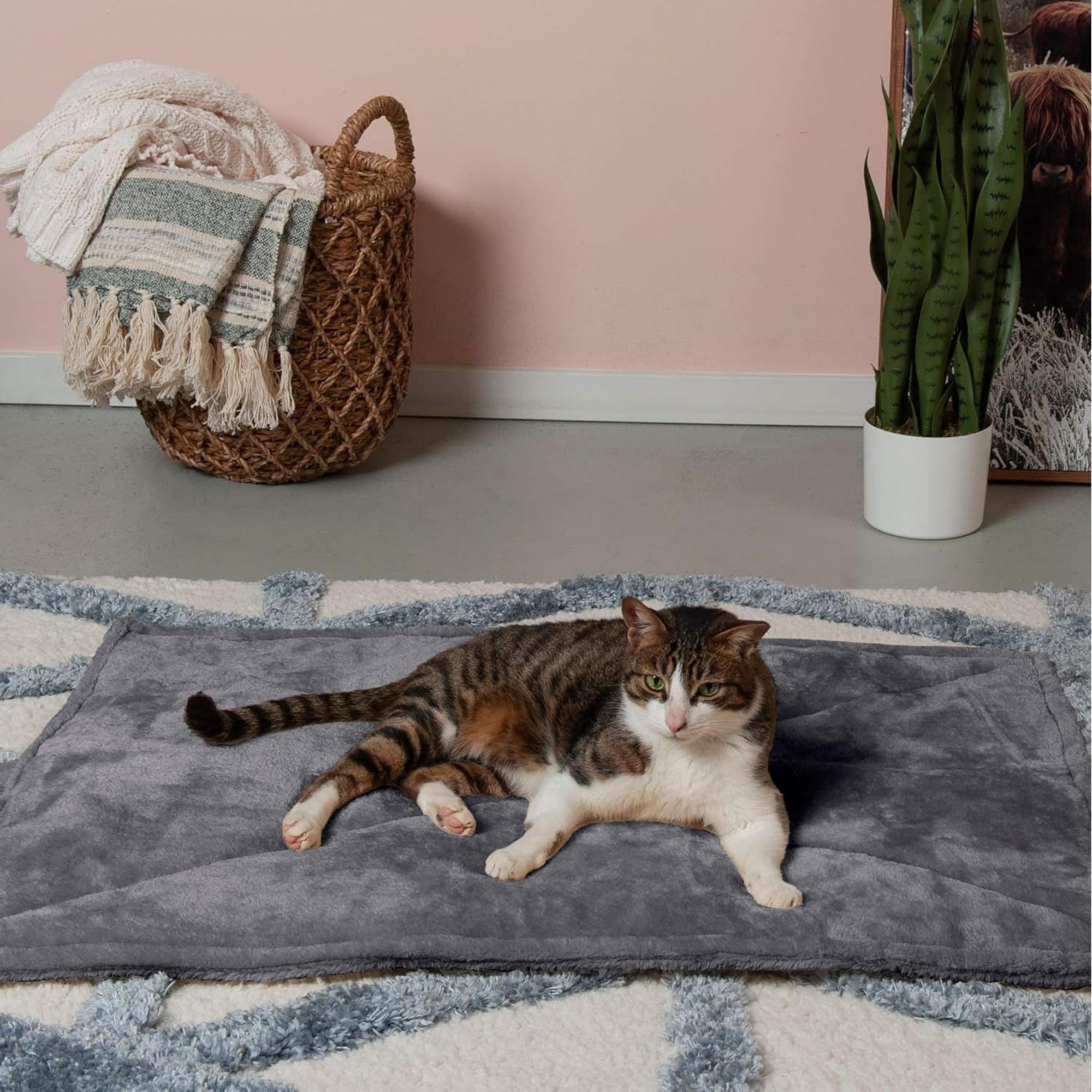 Warm Fleece Self Heating Pet Thermal Mat