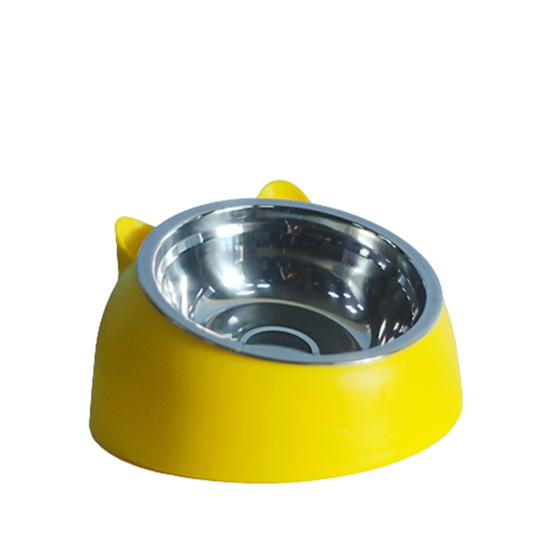 Stainless Steel Bevel Pet Bowl