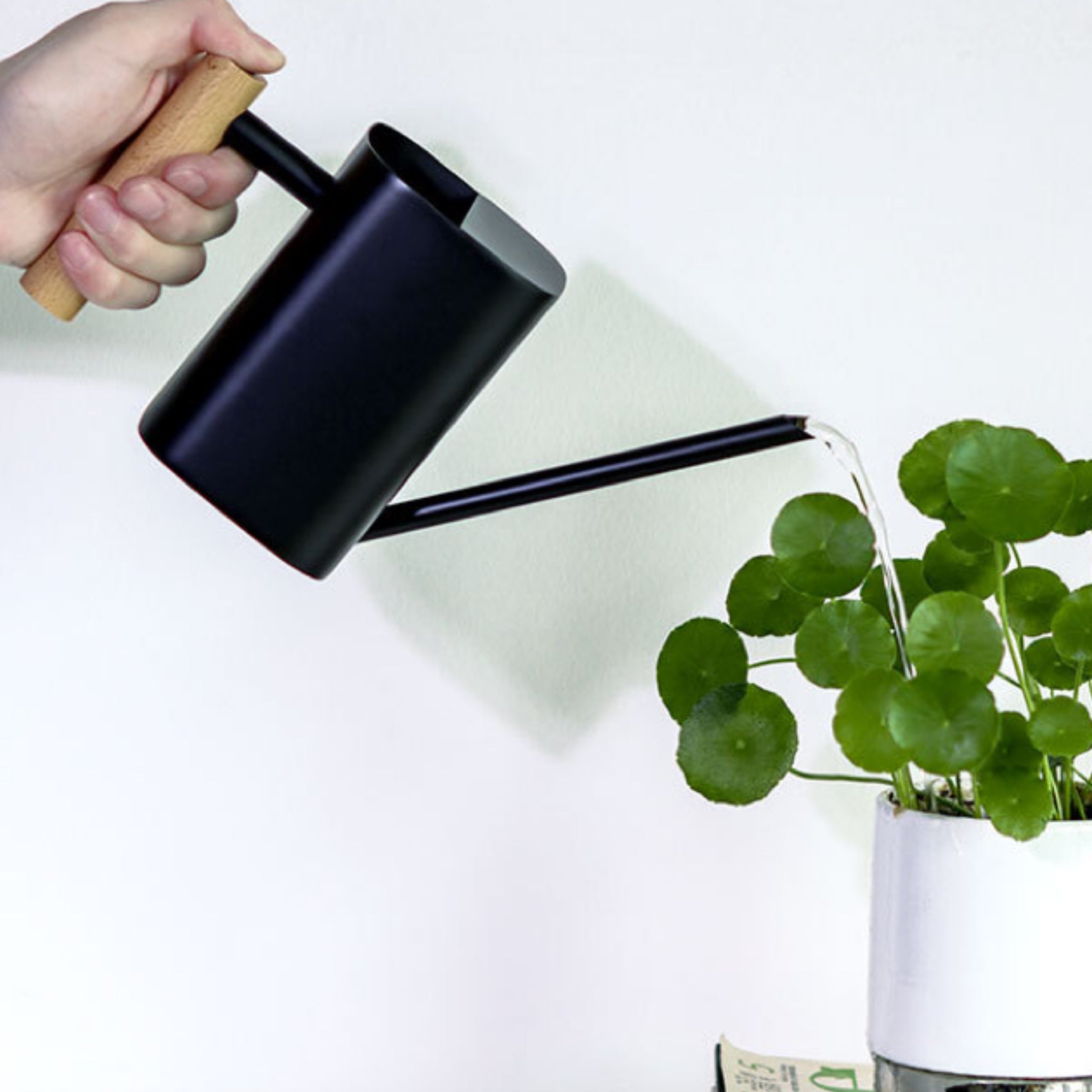 Stainless Steel Long Spout Watering Can