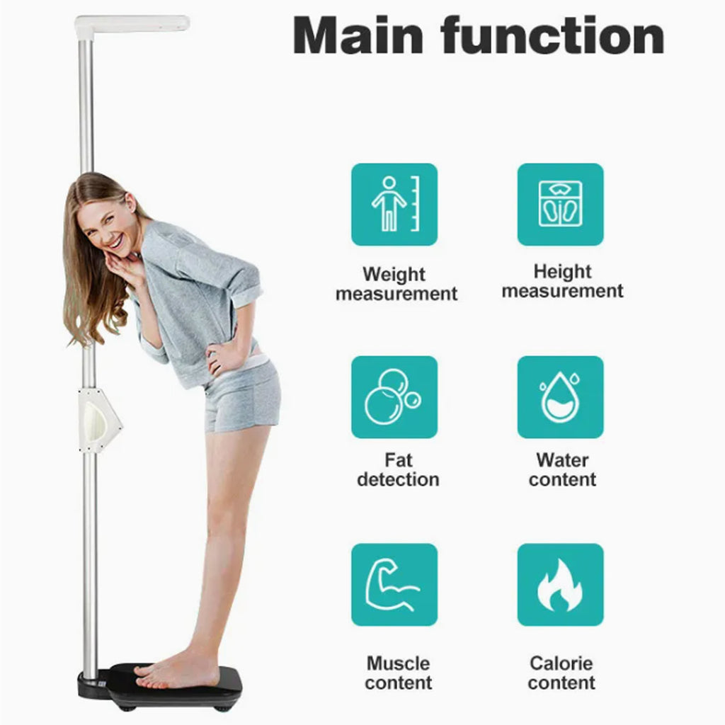 Body Fat Height Weight Scales