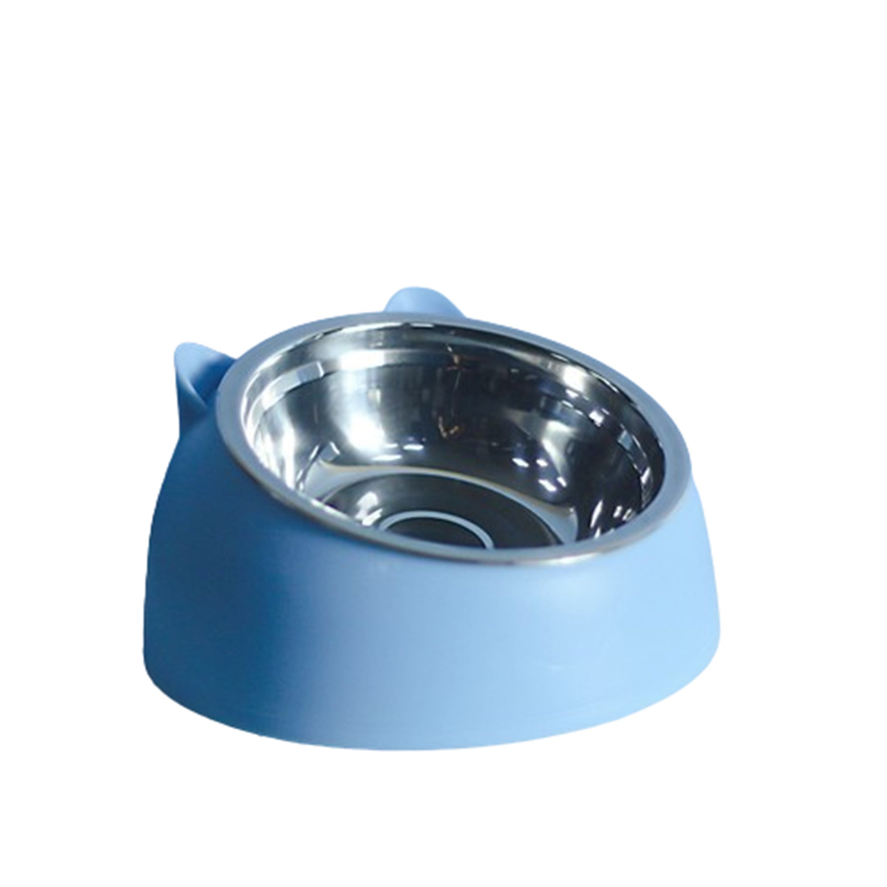 Stainless Steel Bevel Pet Bowl