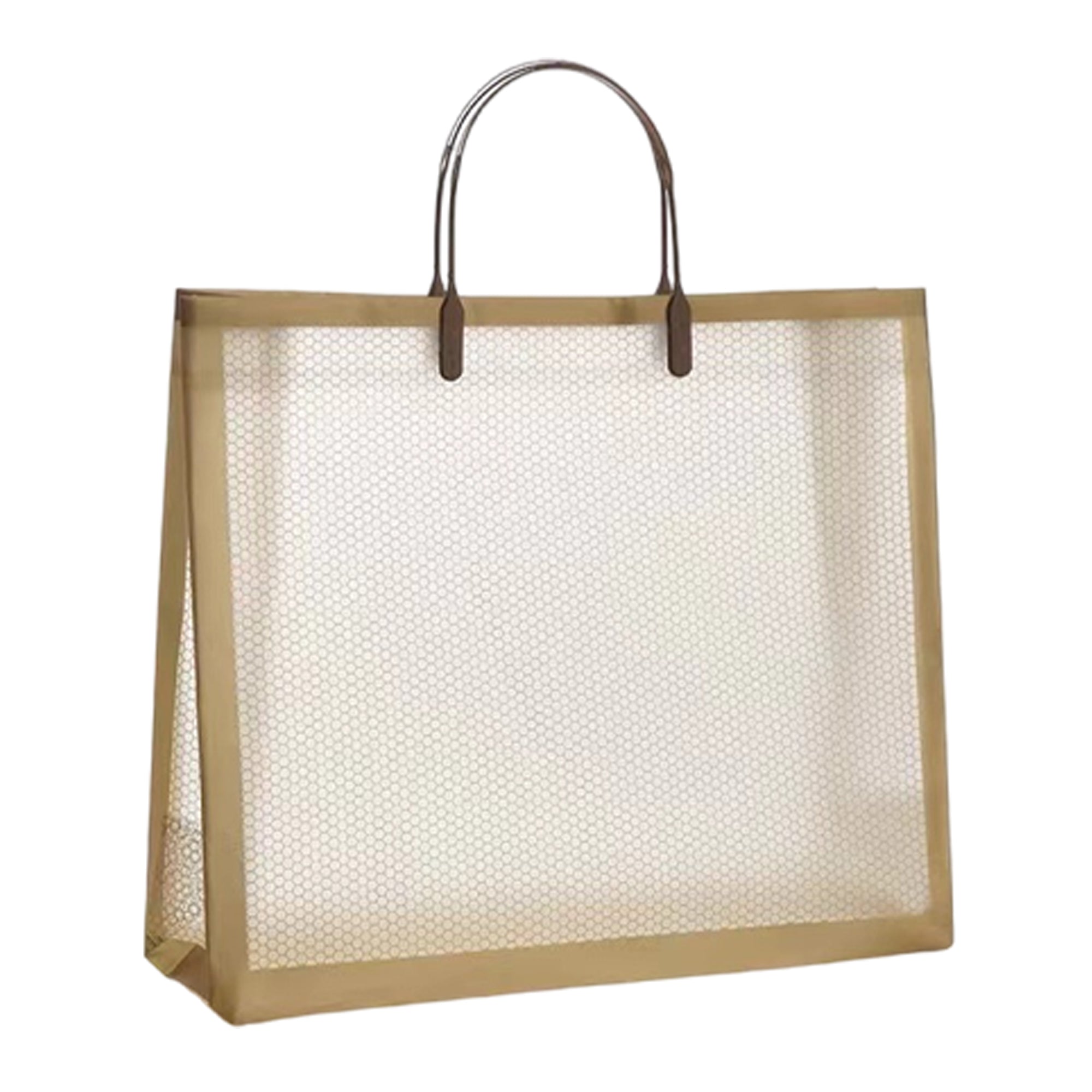 Transparent Handbag
