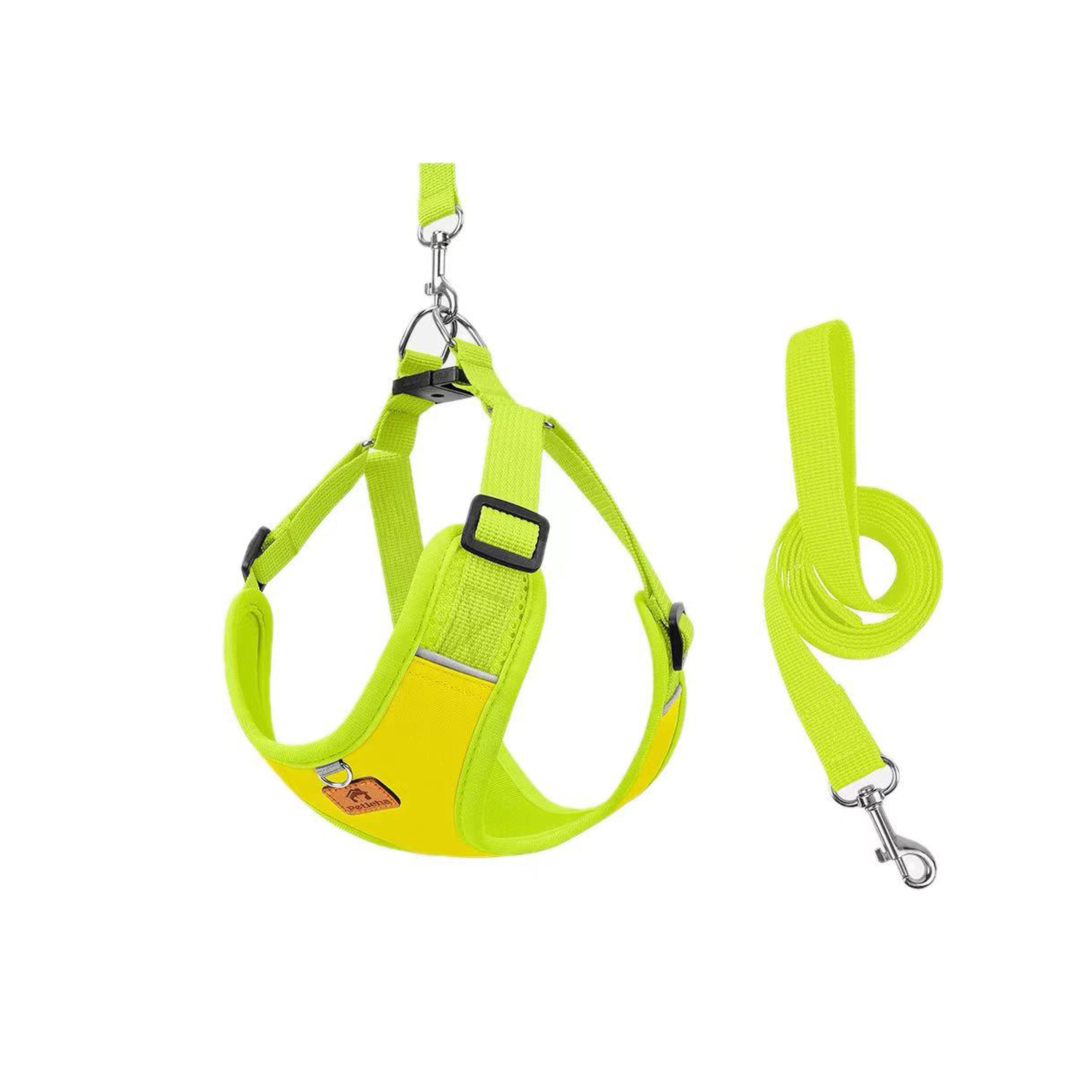 Small Dog Harness And Leash Set