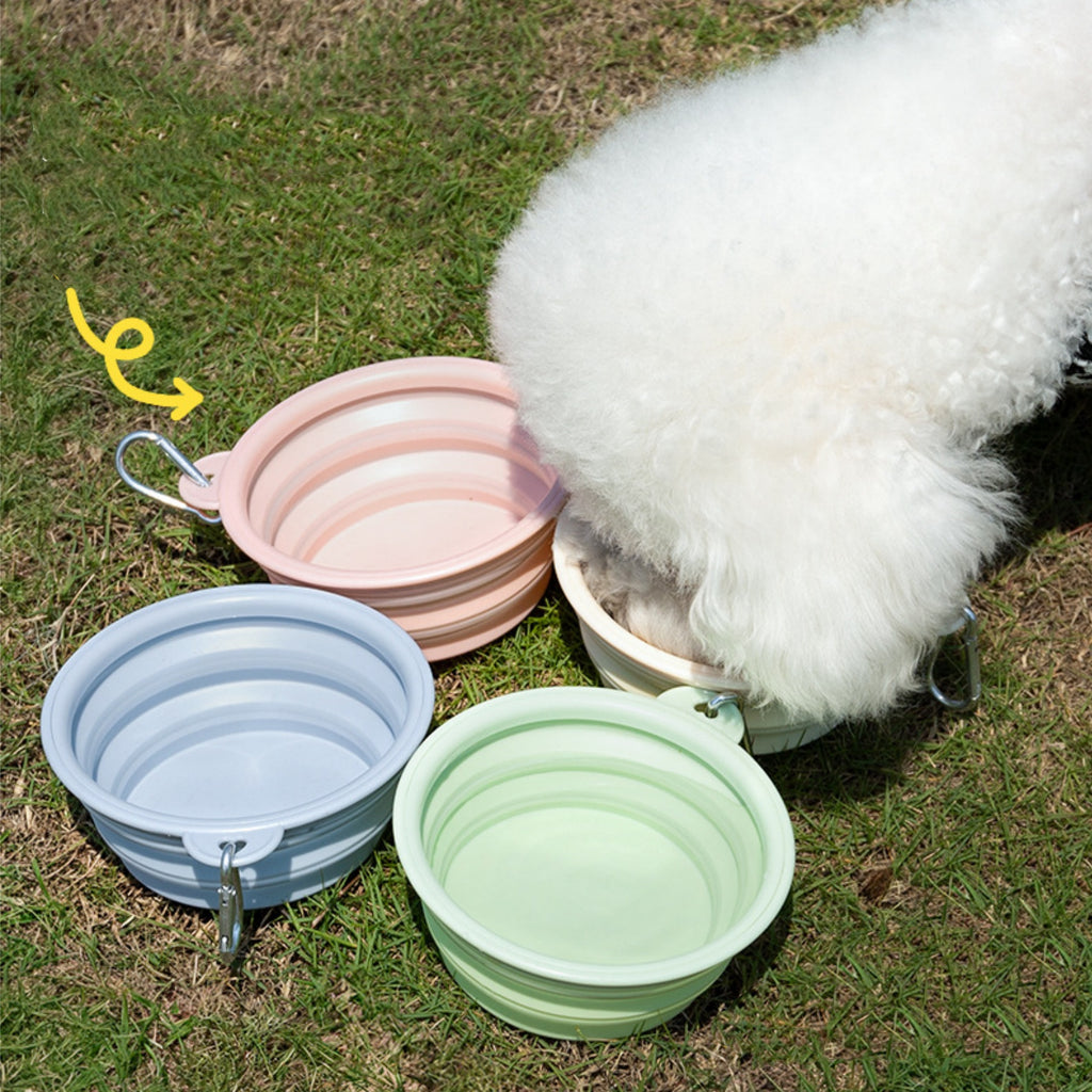 Macaron-colored Collapsible Pet Bowl