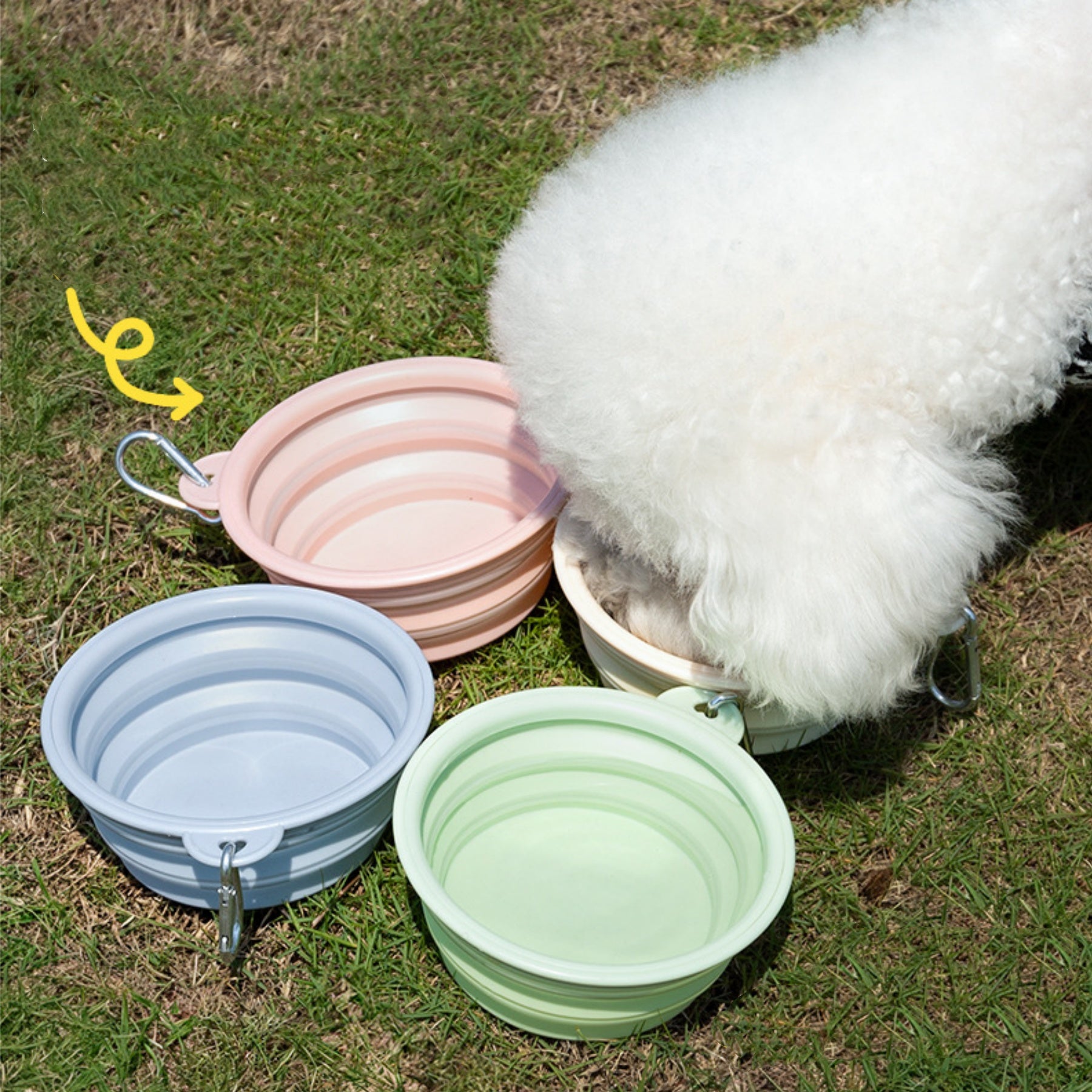 Macaron-colored Collapsible Pet Bowl