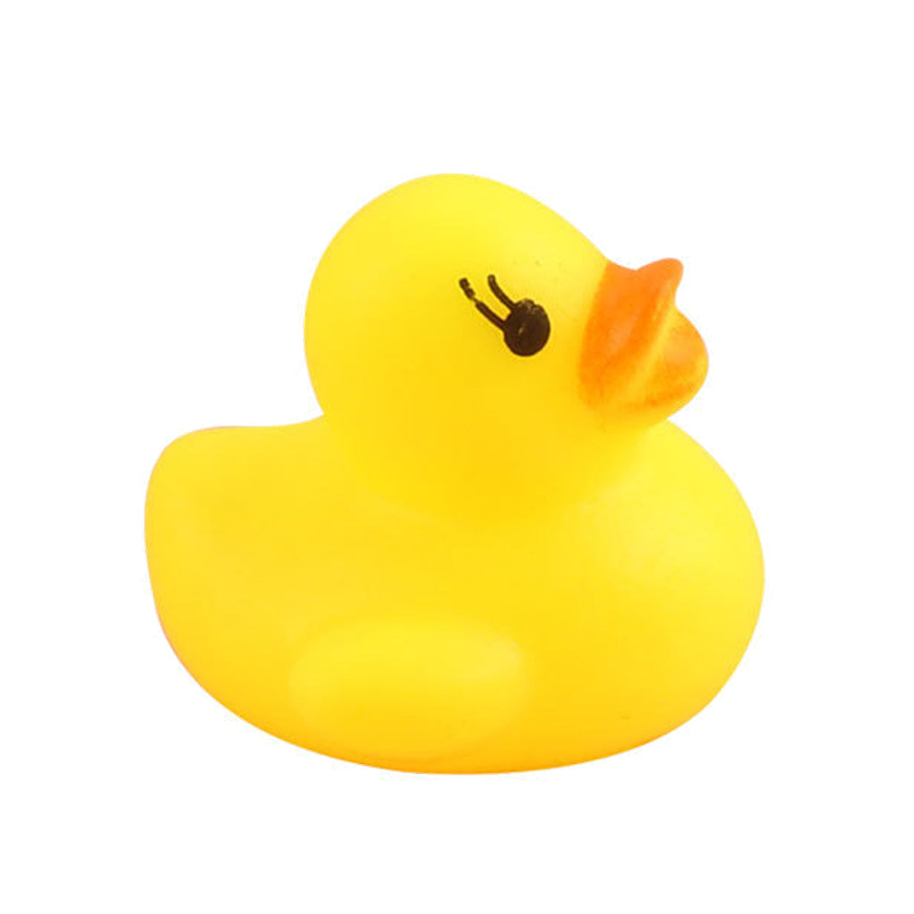 Mini Swimming Duck