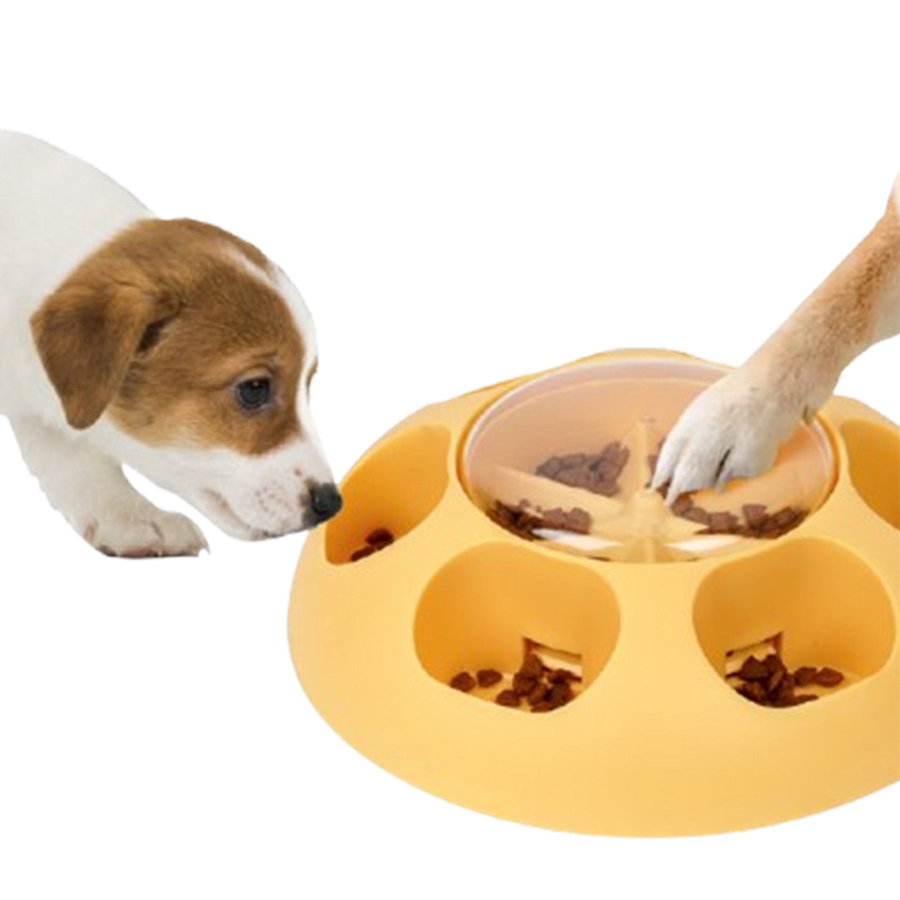 Press The Leaky Slow Food Dog Bowl