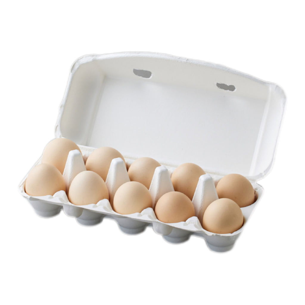10-Pack Egg Packaging Box